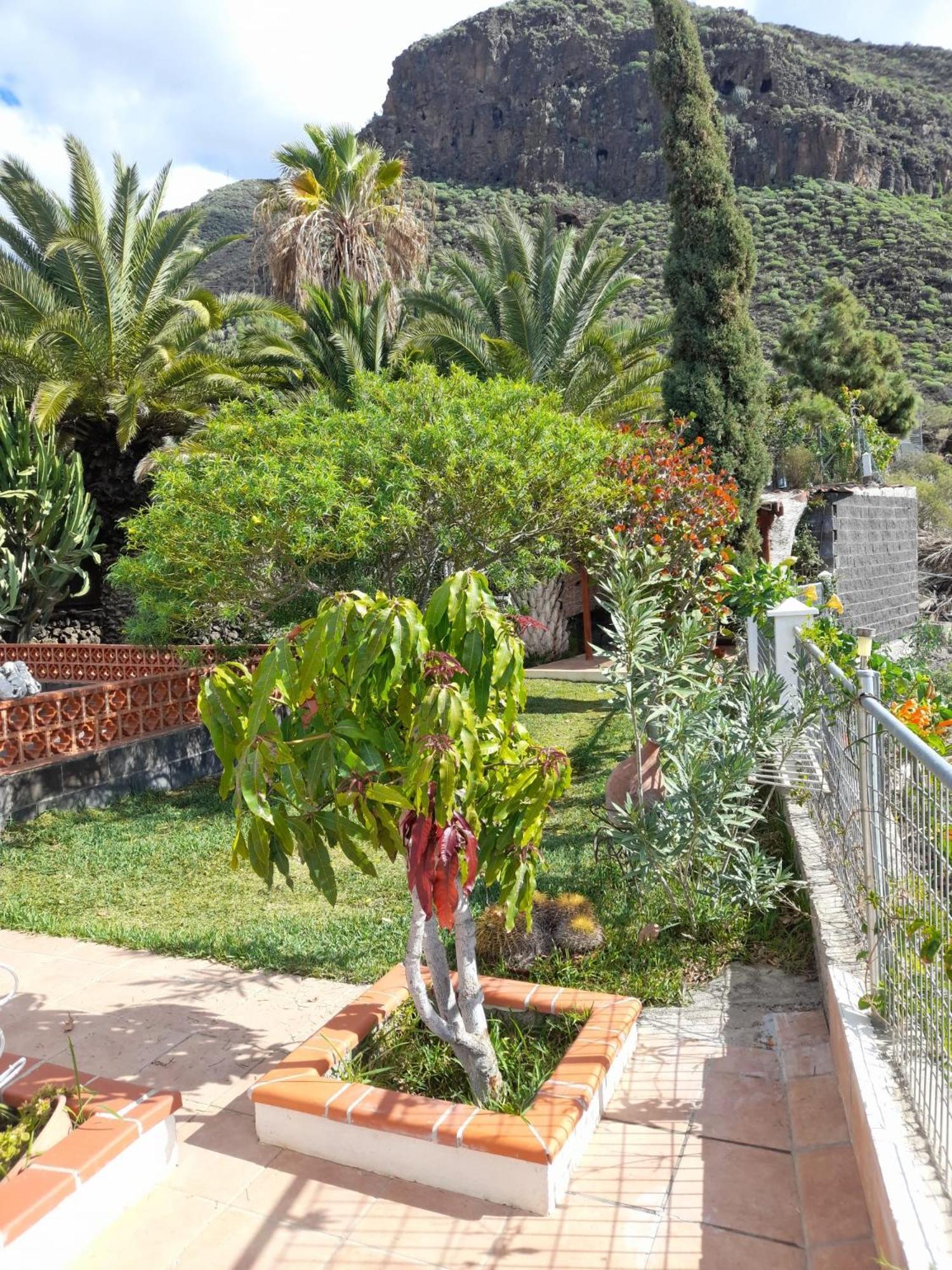 Winter Wonderland Villa Tamaimo Luaran gambar
